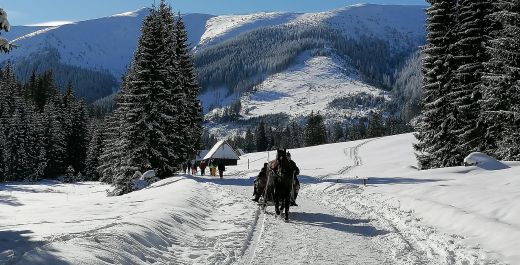 Winter sleigh rides