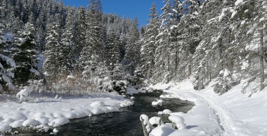 What to do in winter in Zakopane? Mountain trips
